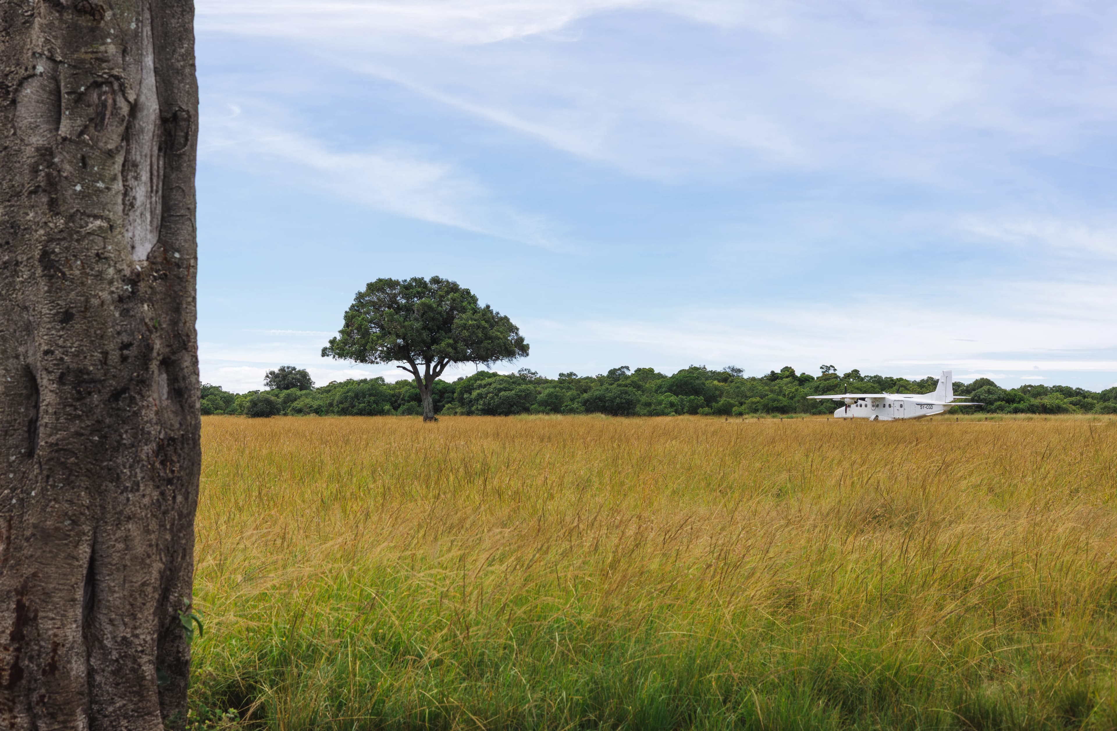 Wildlife seen from a Kasas safari charter aircraft